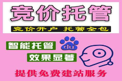 百度推广实战案例：成功之路
